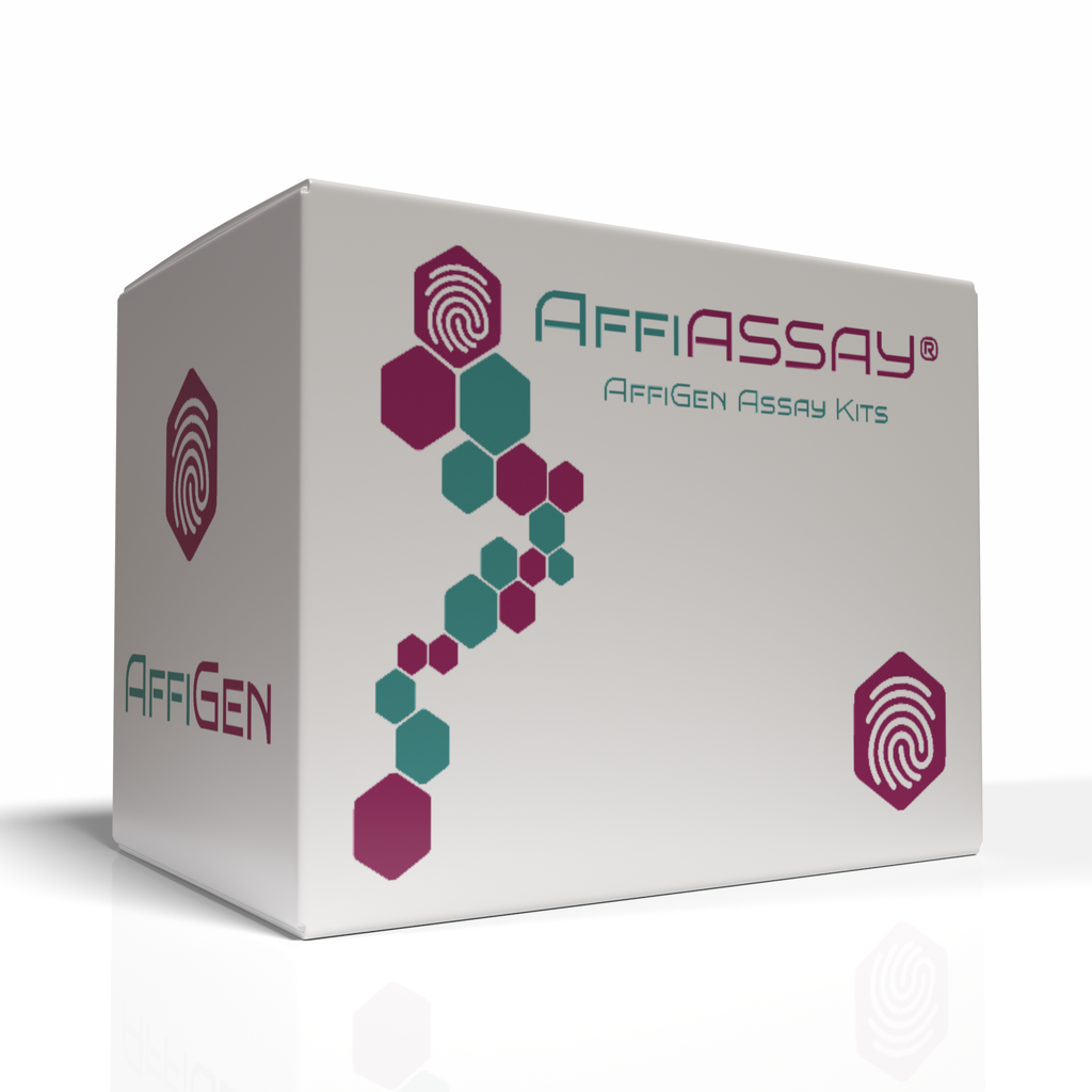 AffiEXTRACT® Plasmid Extraction Kit