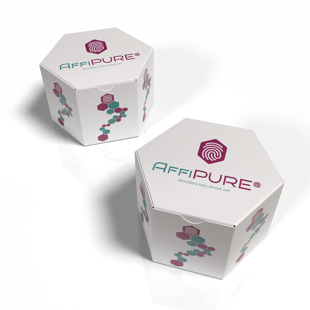 AffiEXTRACT® Viral DNA/RNA Extraction Kit
