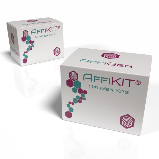 [AFG-CBA-00007] AffiEXTRACT® Buffer Kit